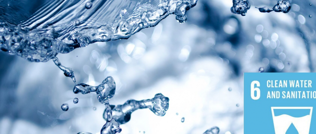 AVPN Blog by Annelies – Create fundamental Impact by Investing in Water